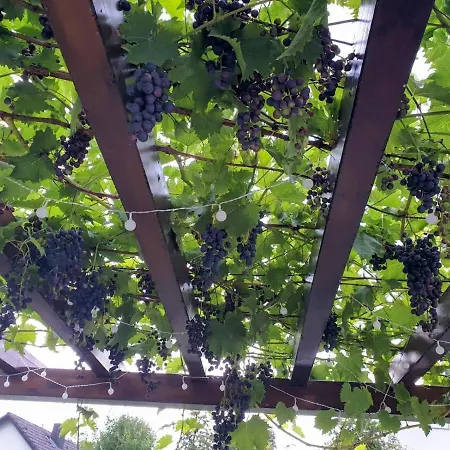 Privat bolig Ege Sleep & At - Fasanenweg *