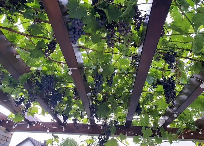 Ubytování v soukromí Ege Sleep & At - Fasanenweg *